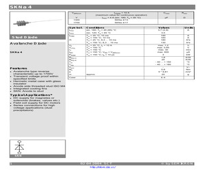 SKNA4/13.pdf