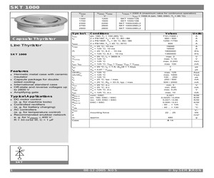 SKT1000.pdf