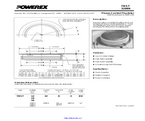 TBS7163203DH.pdf