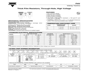 FHV100100RJNES.pdf