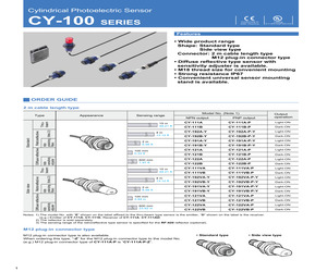 CY-121A-P.pdf