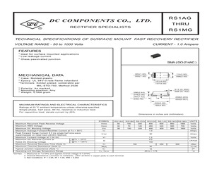 RS1DG.pdf