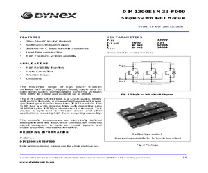 DIM1200ESM33-F000.pdf