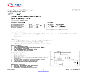 BTS441RG.pdf