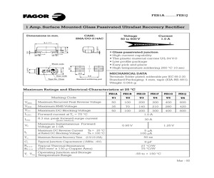 FES1B.pdf