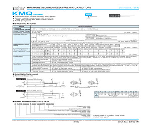 EKMQ160ETD102MJC5S.pdf