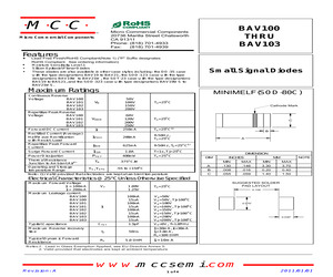 BAV101-TP.pdf