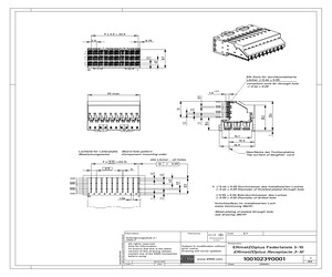 100102390001.pdf