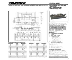 PM75RLA060.pdf