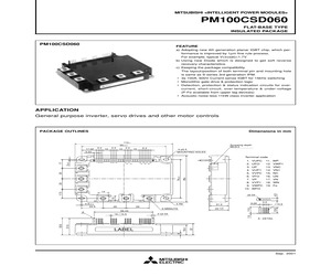 PM100CSD060.pdf