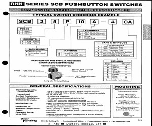 SCB15P10A-2G.pdf