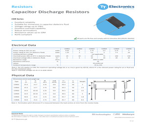 CDR01-100KKB01.pdf