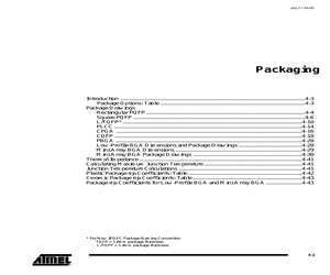 PACKAGING.pdf