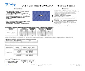 T106AFDCT15M0000.pdf