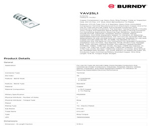 YAV25L1.pdf