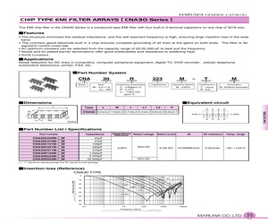 CNA30C101M-TM.pdf