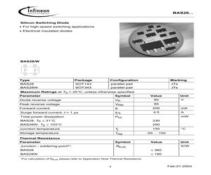 BAS28-T&R.pdf