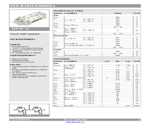 SEMIX202GB066HDS.pdf