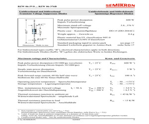 BZW06-53B.pdf