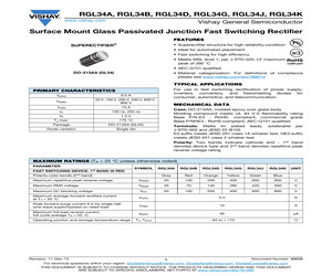 RGL34J-E383.pdf