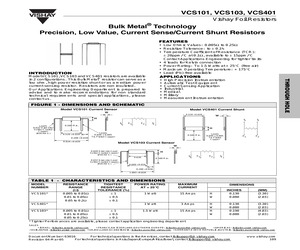 VCS1010R0100A.pdf