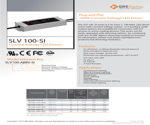 SLV100-148V-SI(A).pdf