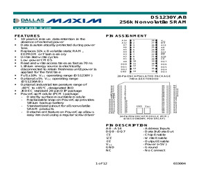 DS1230AB-100-IND.pdf