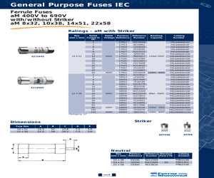 FR22AM69V20P.pdf