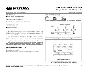 DIM1800ESM12-A000.pdf