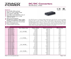 TES2N2410.pdf