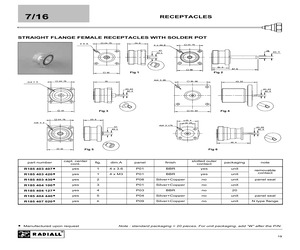 R185403407.pdf