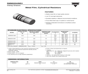 SMM0204-MS1158K250.1%B0.pdf