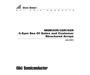 MSM30R0020-TQFP64.pdf