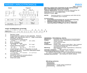 R60105J1000AW.pdf