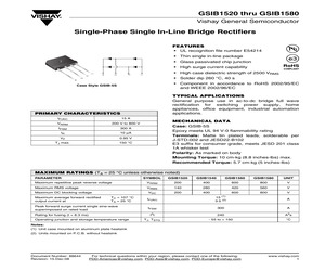 GSIB1580-E3/45.pdf