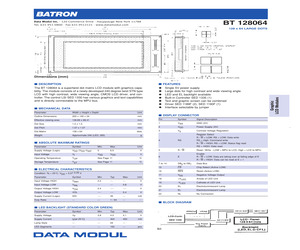 BT128064.pdf