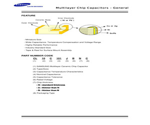 CL21C100DBAC.pdf