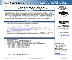 MSMCJ24CA.pdf