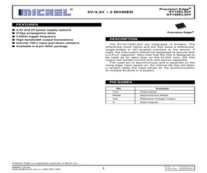 SY100EL32VZG.pdf