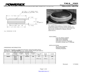 T9G0062503DH.pdf