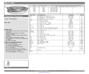 SKT491/04E.pdf