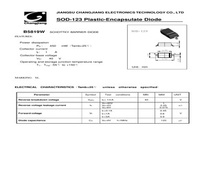 B5819W.pdf