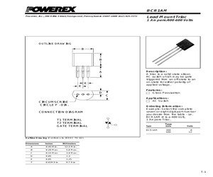 BCR1AM-12.pdf