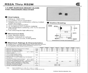 RS2J.pdf