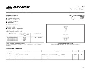 DG306AE25.pdf