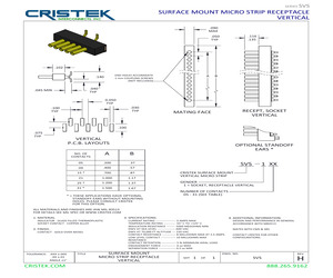 SVS-105.pdf