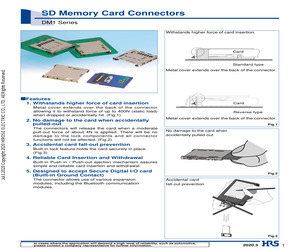 DM1B-DSF-PEJ(22).pdf