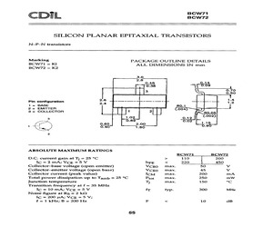 BCW72.pdf