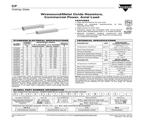 CP0010100R0JB14.pdf