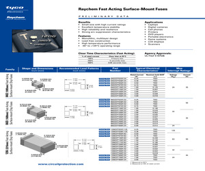 1206SFF300F/32-2.pdf